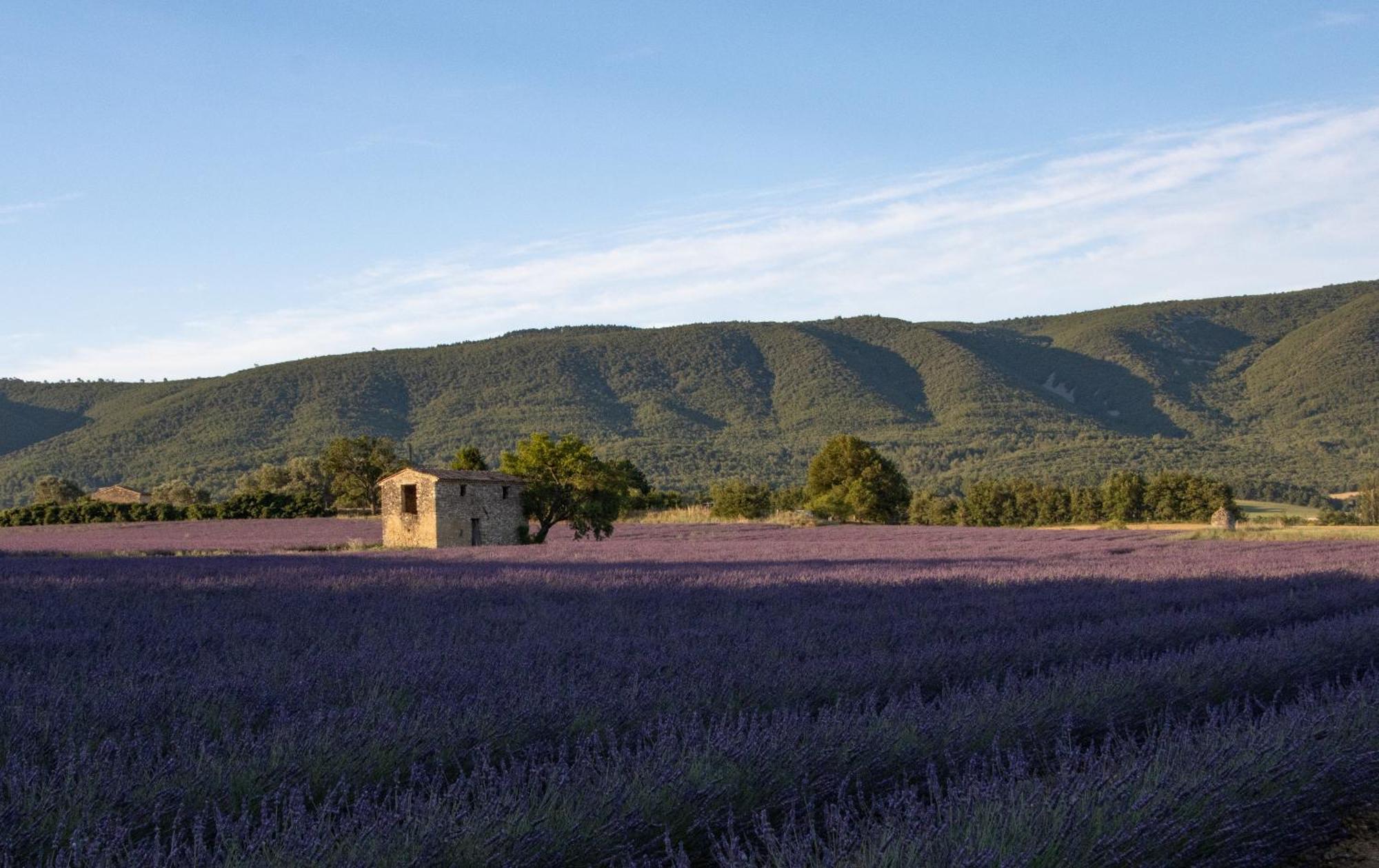 Studio Dans Le Luberon Céreste Zewnętrze zdjęcie